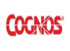 cognos